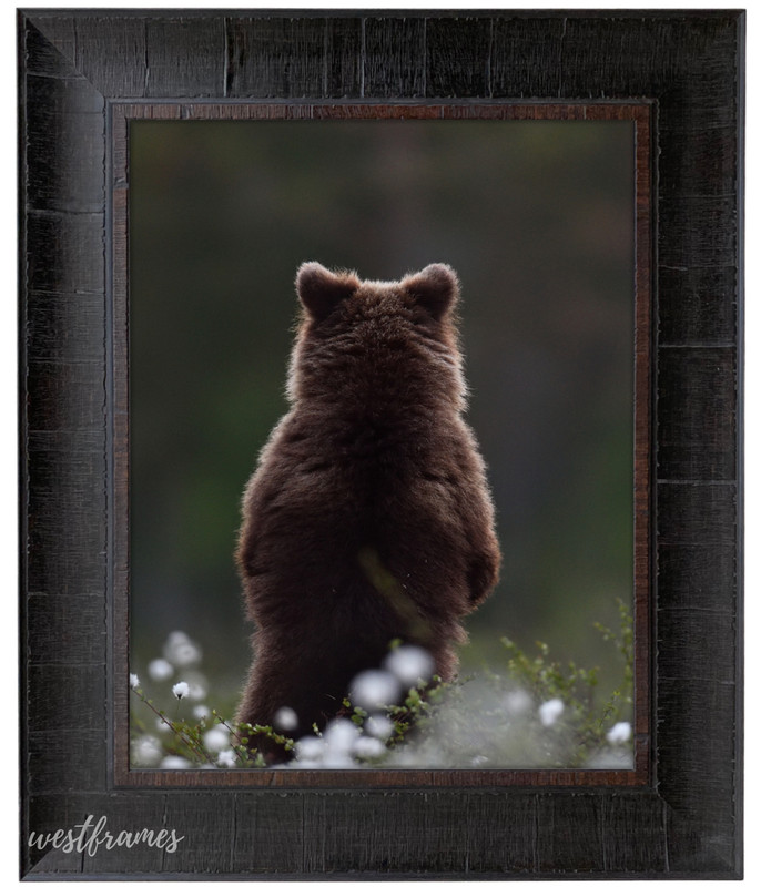 West Frames Lodge Rustic Distressed Dark Espresso Walnut Wall Picture Frame 3" gallery