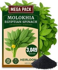 3000+ USA Premium Egyptian Spinach Seeds (Molokhia), Non-GMO 3000, Green