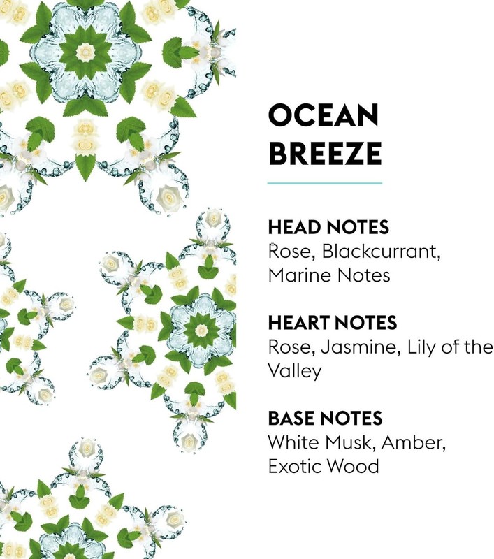 Elegant Car Diffuser Refills - 4 Weeks of Ocean Breeze Passive Diffusion gallery