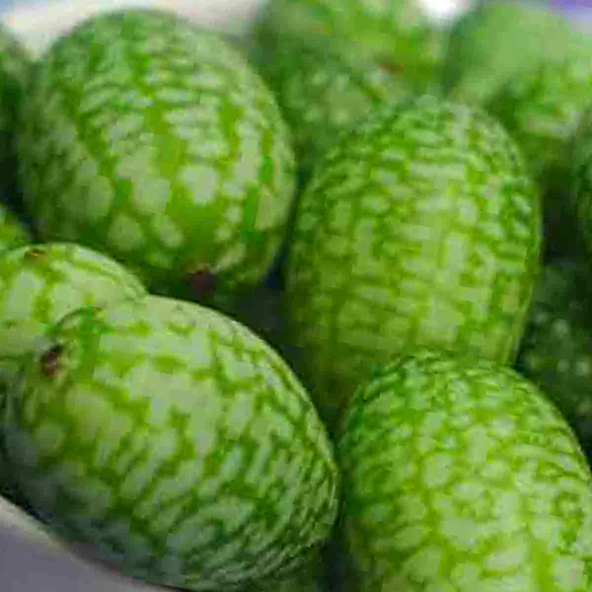 20 CUCAMELON SEEDS MOUSE MELON VEGETABLE SUPERIOR CUCUMBER HEAT DROUGHT NON-GMO gallery