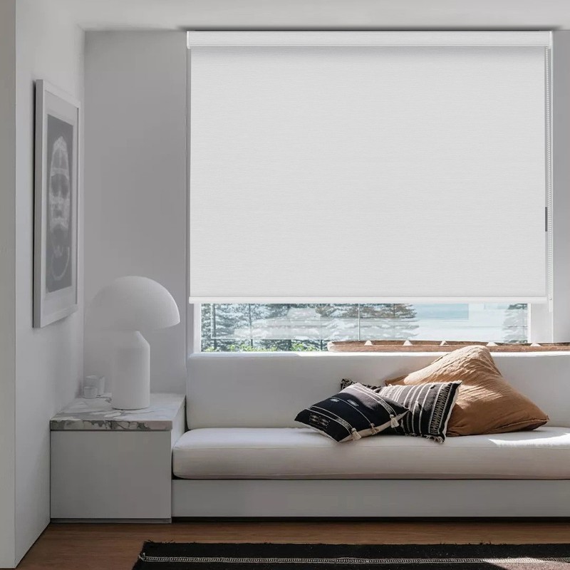 Changshade Light Filtering Window Blinds Roll-up Blinds Roller Shades Curtains gallery