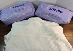 2 Pack New Derila Ergo Memory Foam Standard Pillows w 2 Extra White Covers