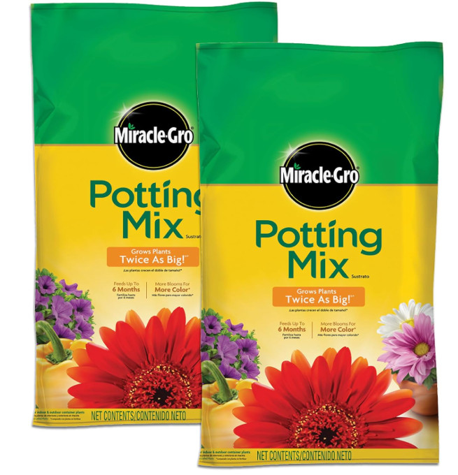 Miracle-gro Potting Mix Soil, Enriched, Outdoor & Indoor Plants, 8Qt. 2Pack gallery