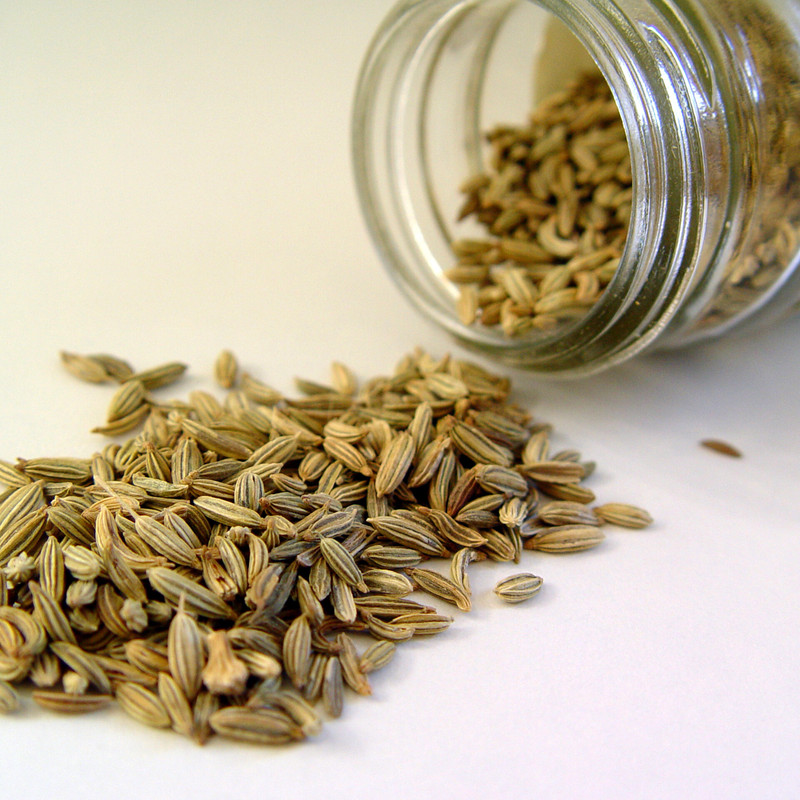 Fennel Seeds | Saunf | Ceylon Organic Spices | Whole Dried Seasoning Herb Bulk gallery