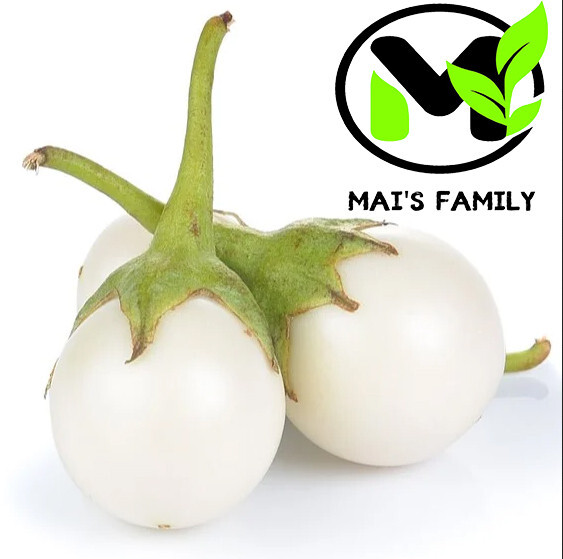 WHITE ROUND EGGPLANT SEEDS, CÀ PHÁO TRẮNG, 茄子,berenjena 90% GERMINATION gallery