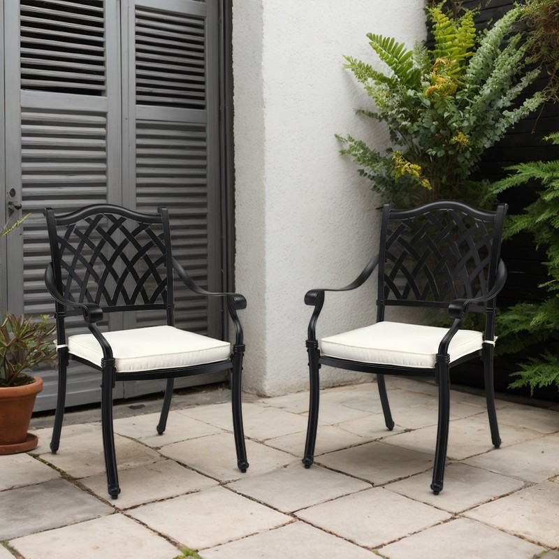 Patio Chairs 2PCS Dining Chairs Stackable Metal Armrest Chairs for In/Outdoor gallery