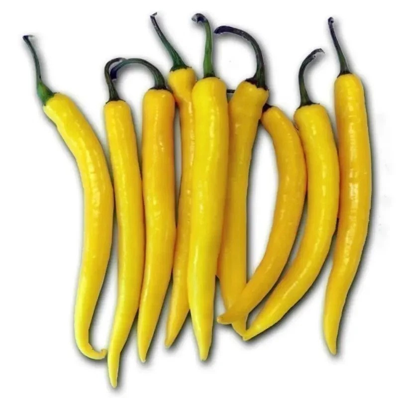 50+ Golden Cayenne Pepper Seeds ---------- 30,000 to 50,000 Scoville Heat Units gallery