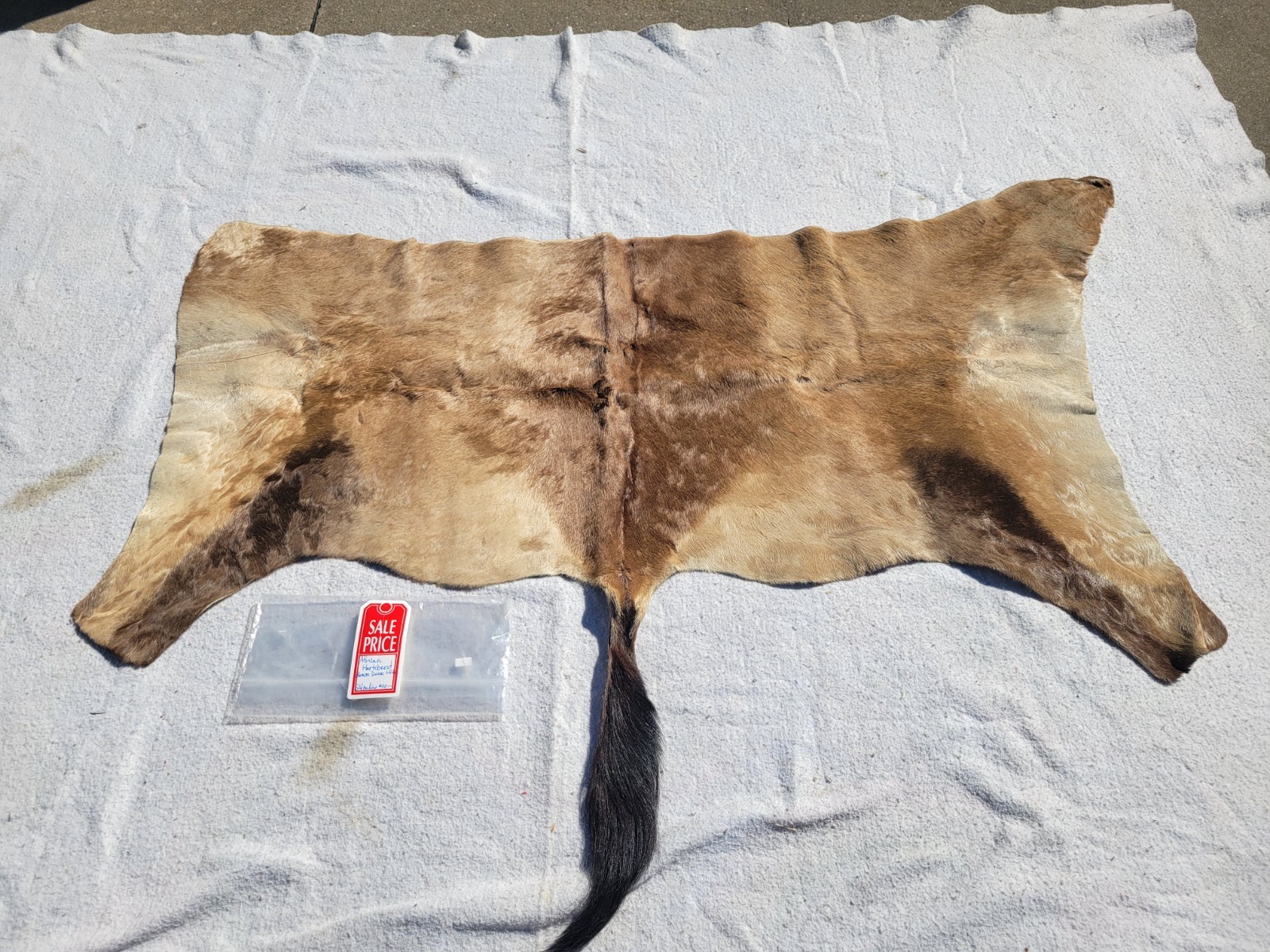 Genuine Antelope Rug Hartebeest skin - African Deer Skin - Deer Hide Rug gallery