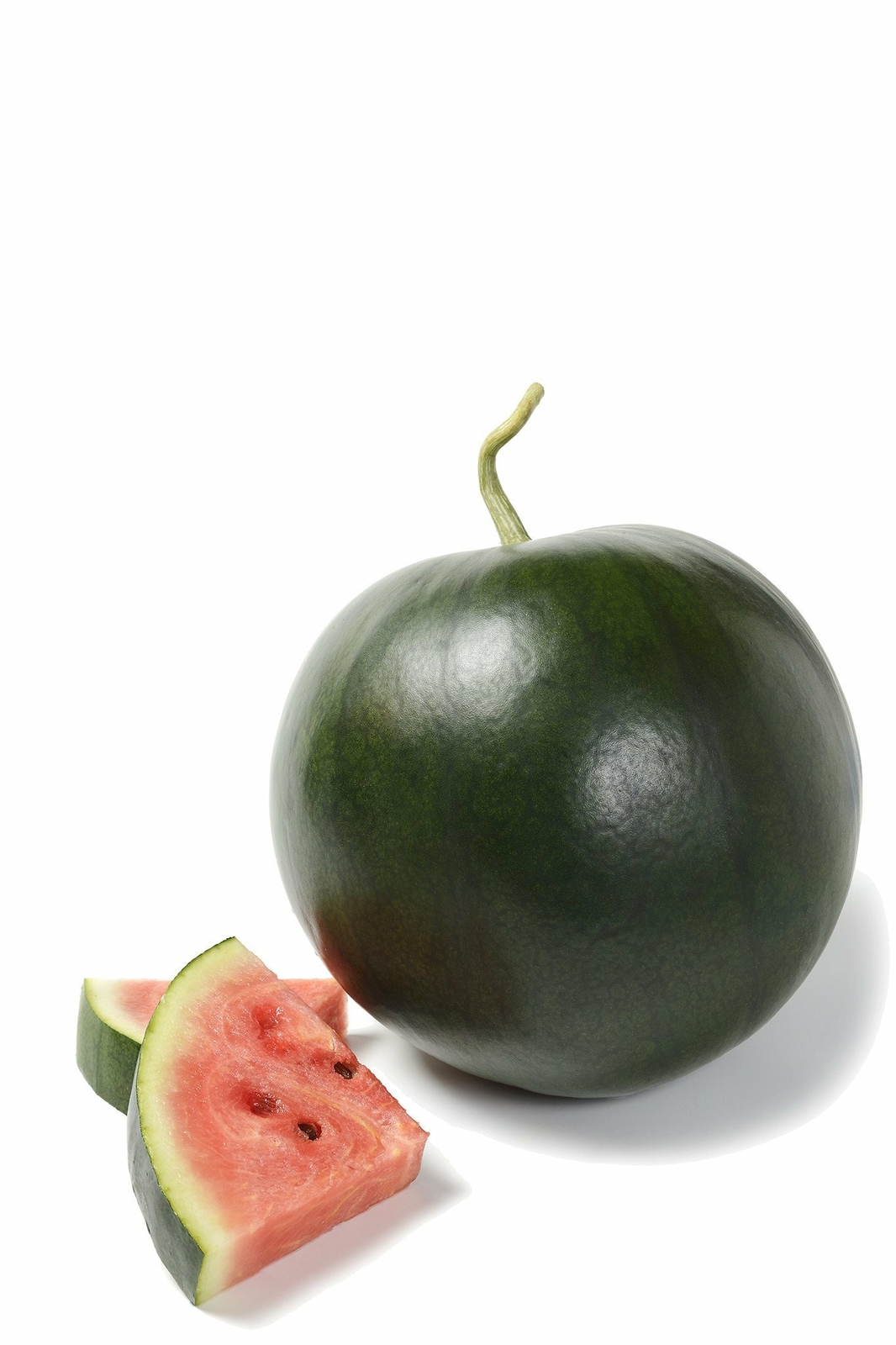 Organic Blacktail Watermelon - Citrullus lanatus gallery