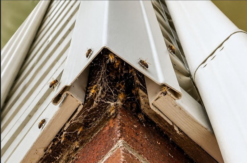 Vinyl Siding Bug Plug Outside Corner Insert – Stops Bees, Wasps & Insects – Made gallery