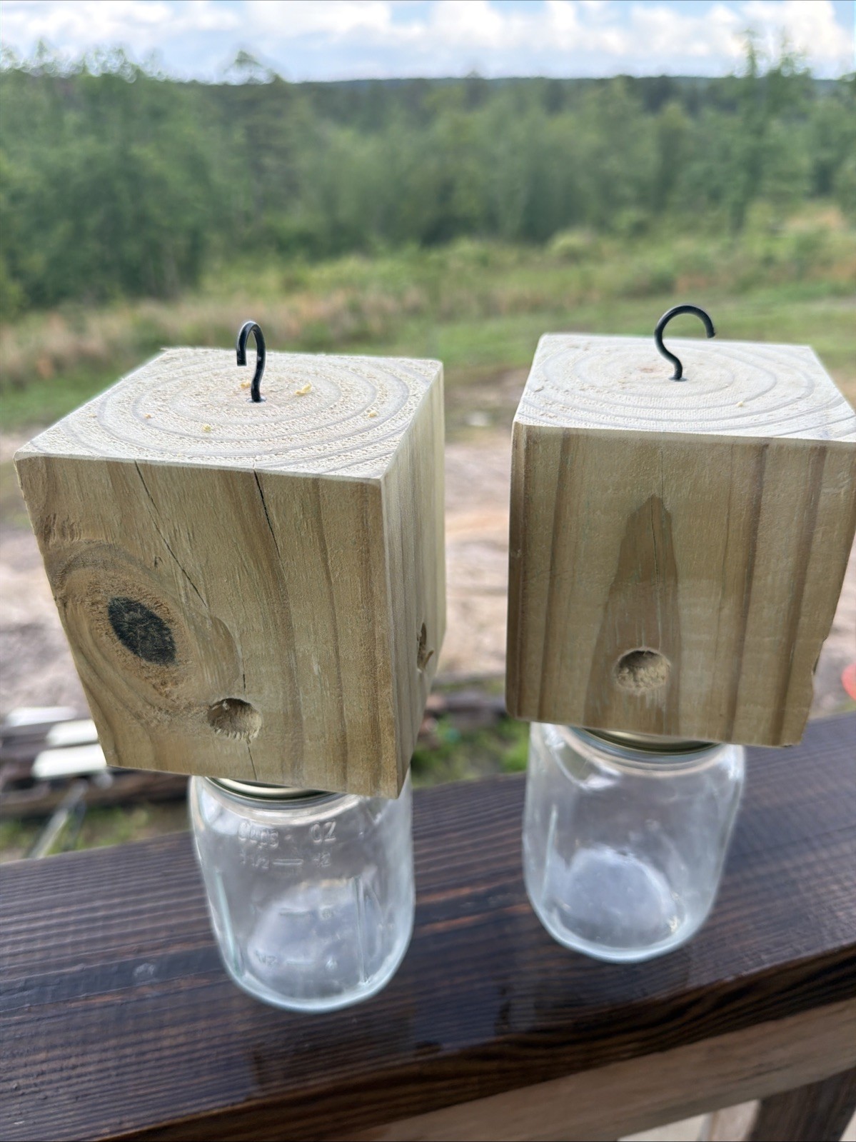 Set Of 2 Carpenter Bee Traps W/ Jars & Hooks- Free Shipping gallery