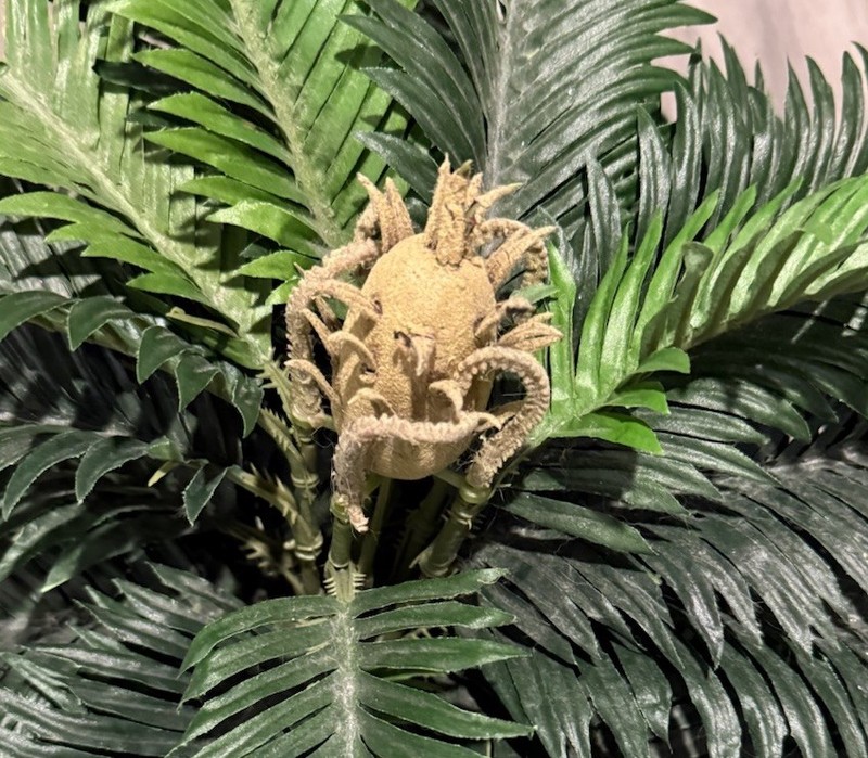 Nearly Natural 25in. Cycas Artificial Plant in Basket In Another Vintage Basket gallery