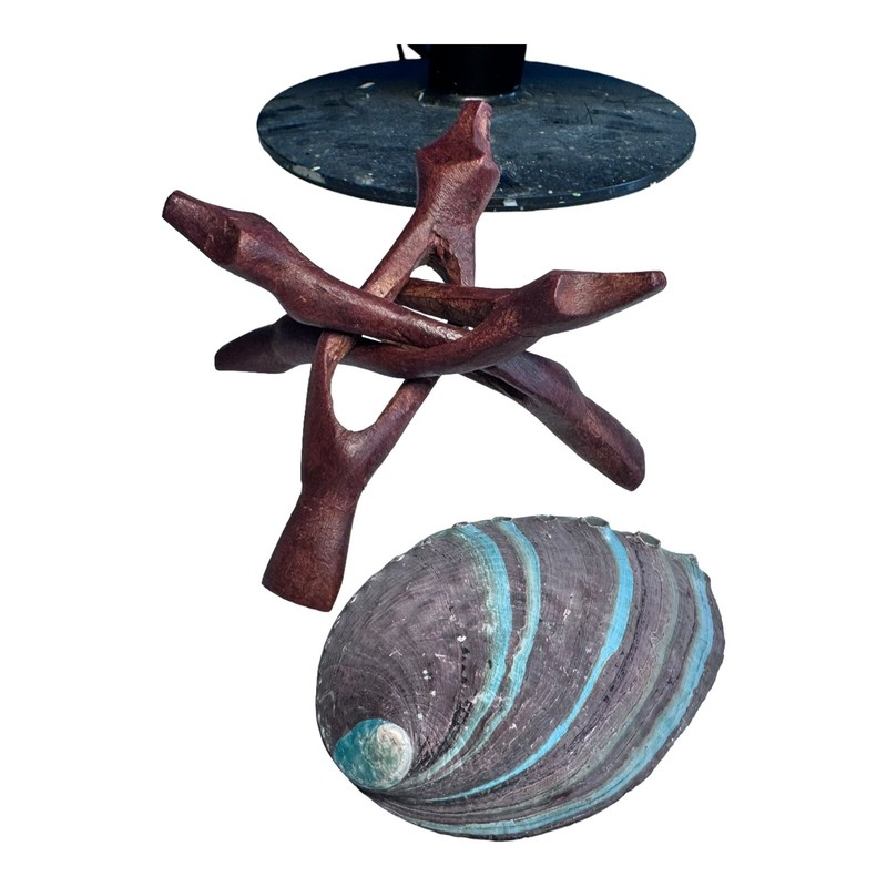 HUGE Abalone Shell & Tripod cobra Stand 6" inchs perfect Burning kit ~ FREE SHIP gallery