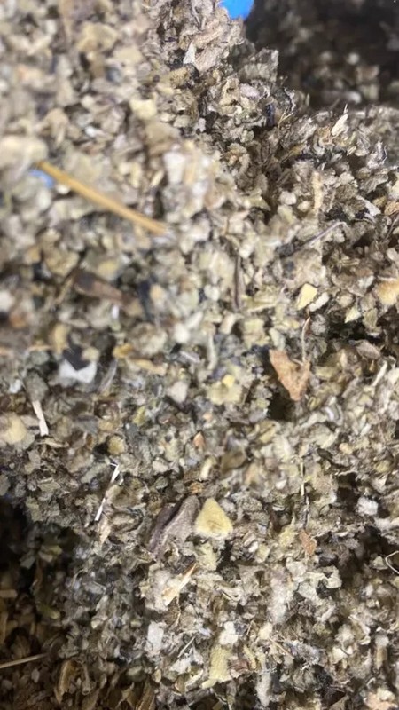 Mullein Leaf Bulk - cut verbascum thapsus medicinal heal lung herb - 32 ounces gallery
