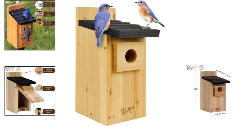 Elegant Cedar Bluebird Nesting Box with Predator Guard and Easy Access, 12" Tall gallery