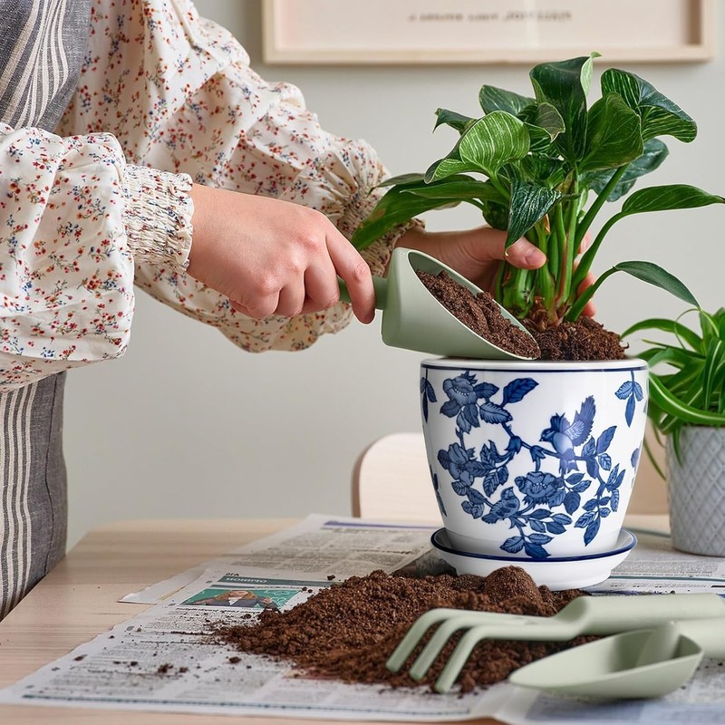 Chinoiserie Style Ceramic Flower Pot with Saucer, 8" gallery