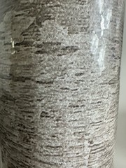Whitewashed Wood Effect Wallpaper – – Natural Distressed Lot Of 6