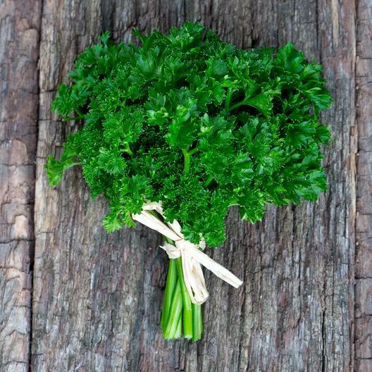 PARSLEY SEEDS CURLED Black Swallowtail Butterfly Host Plant Non-GMO 300 Seeds gallery