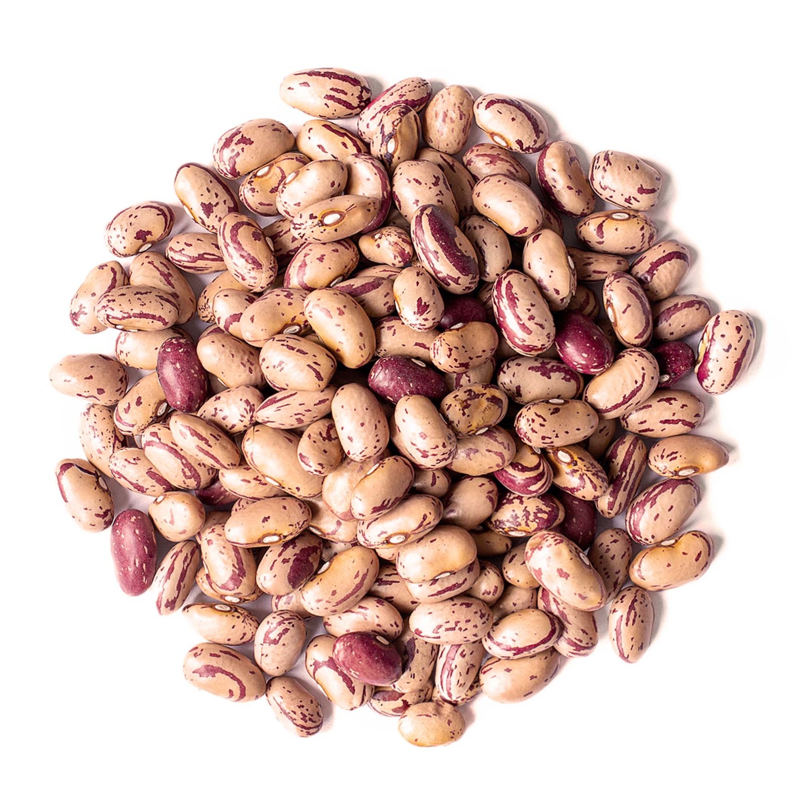 Del Colle Piemonte Cranberry Beans, 11 LBS (5 kg) – Sproutable, Vegan, Kosher gallery