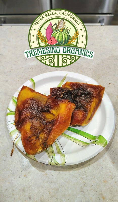 Organic Mexican Green Hardshell Squash, 20 Seeds- Calabaza Mexicana,20 Semillas gallery