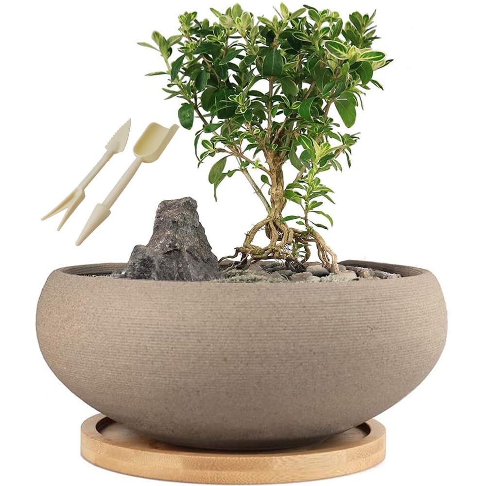 Large Unglazed Ceramic Bonsai Pot with Bamboo Tray – 8” Succulent Planter gallery