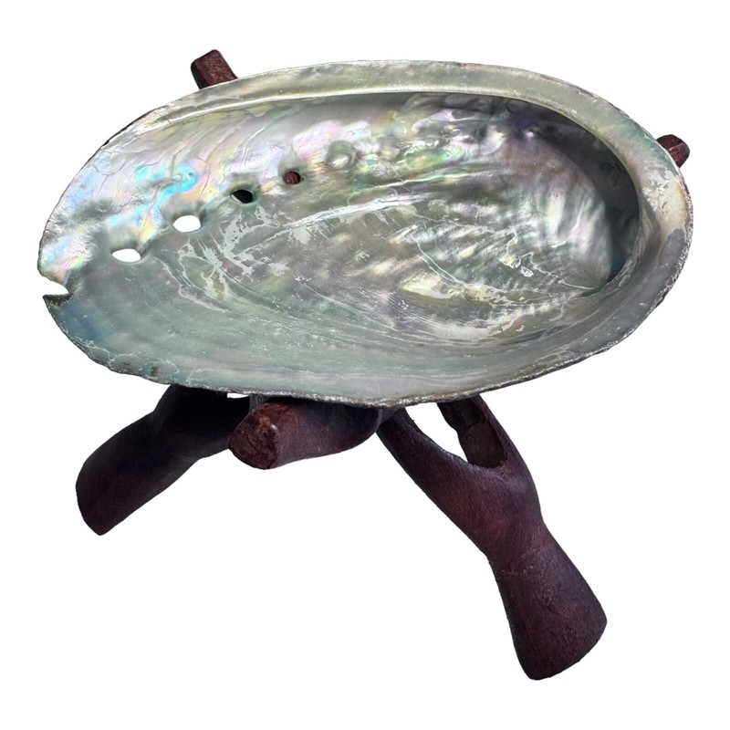 HUGE Abalone Shell & Tripod cobra Stand 6" inchs perfect Burning kit ~ FREE SHIP gallery