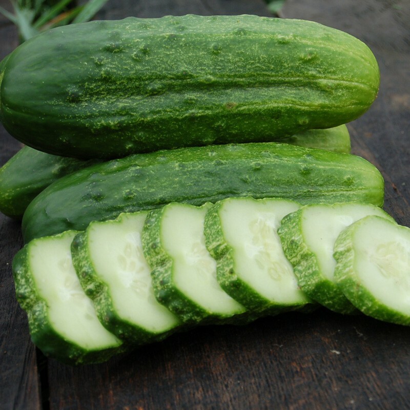 National Pickling Cucumber Seeds, Pickles, Gherkins, NPPA, NON-GMO, FREE SHIP gallery