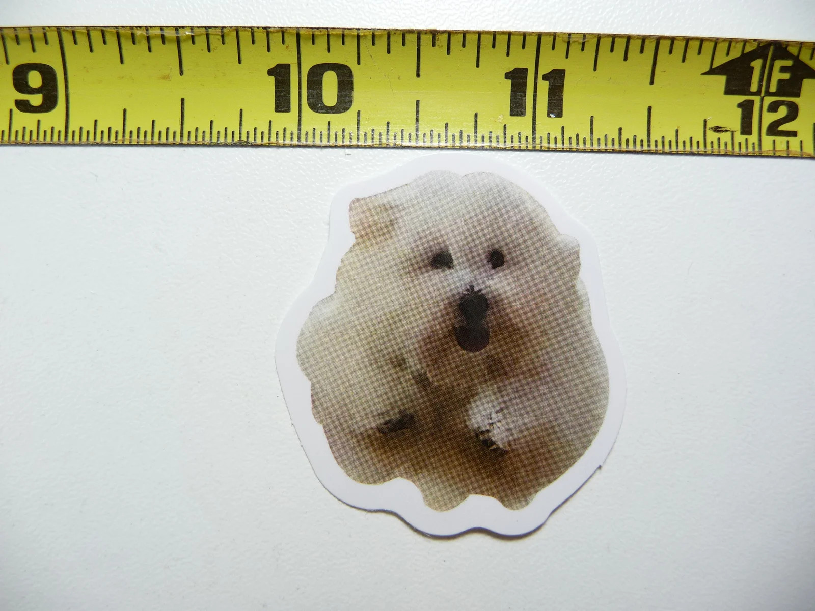 FUNNY DOG SMALL STICKER DECAL AX141 RUNNING SIZE FUN HI PET FUNNY gallery