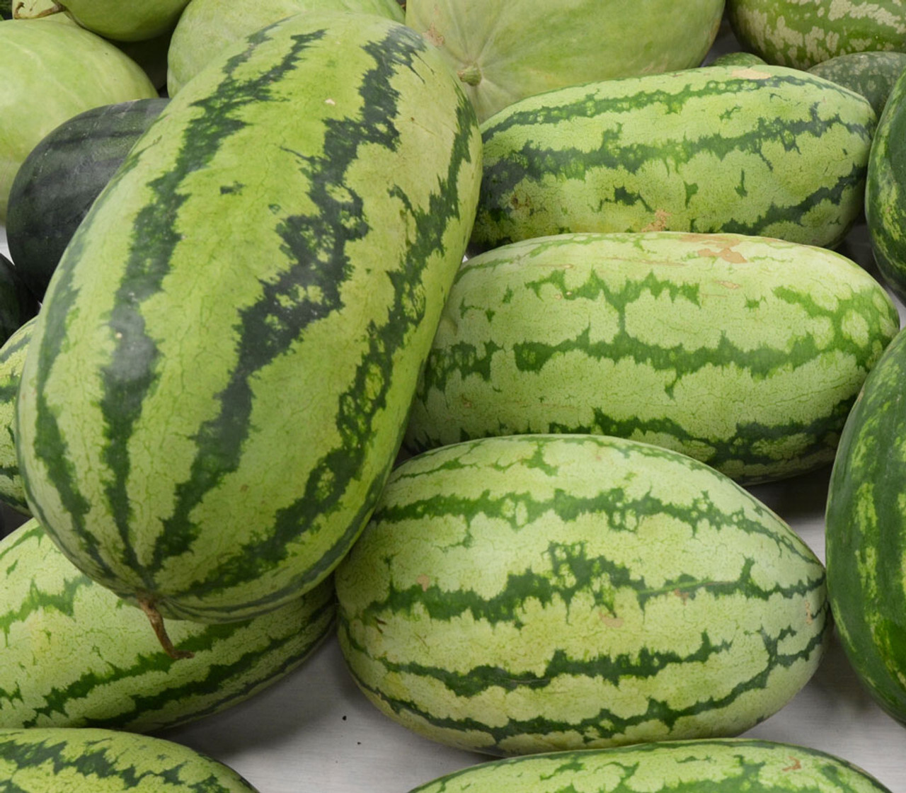 Georgia Rattle Snake Watermelon Seeds, NON-GMO, Gypsy Watermelon, FREE SHIPPING gallery