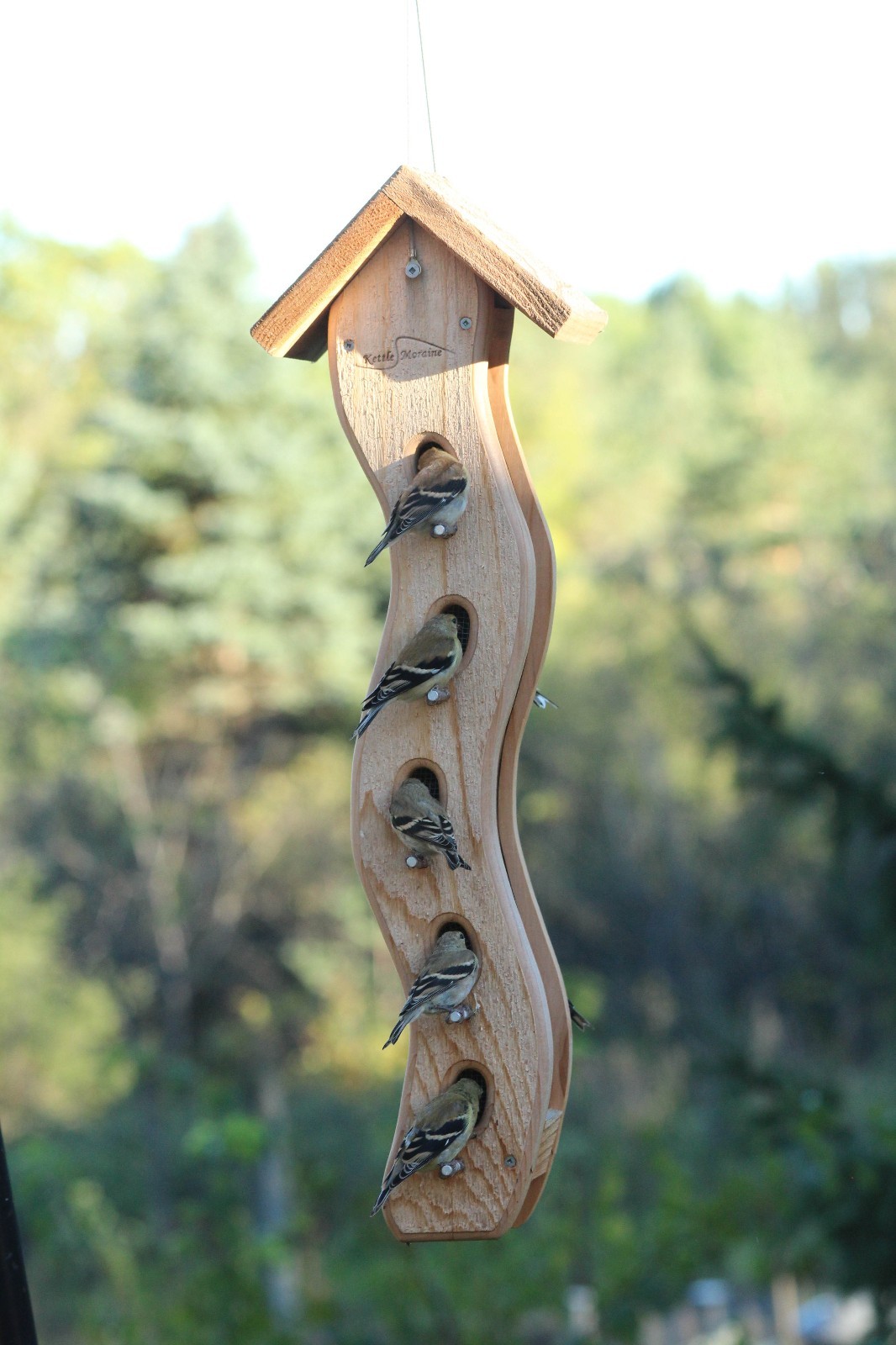 Kettle Moraine Large Wave Goldfinch Bird Feeder for Nyjer Thistle Seed #8105N gallery