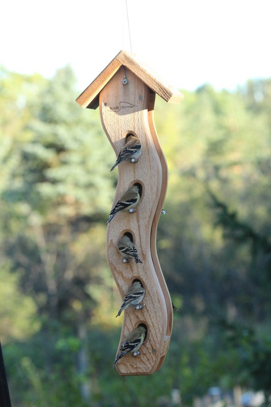Kettle Moraine Large Wave Goldfinch Bird Feeder for Nyjer Thistle Seed #8105N gallery
