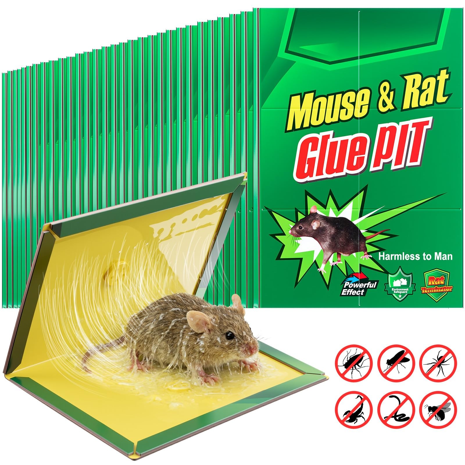 Mysora 30 Pcs Small Sticky Traps for Mice and Rats Mouse Traps Glue with Enha... gallery
