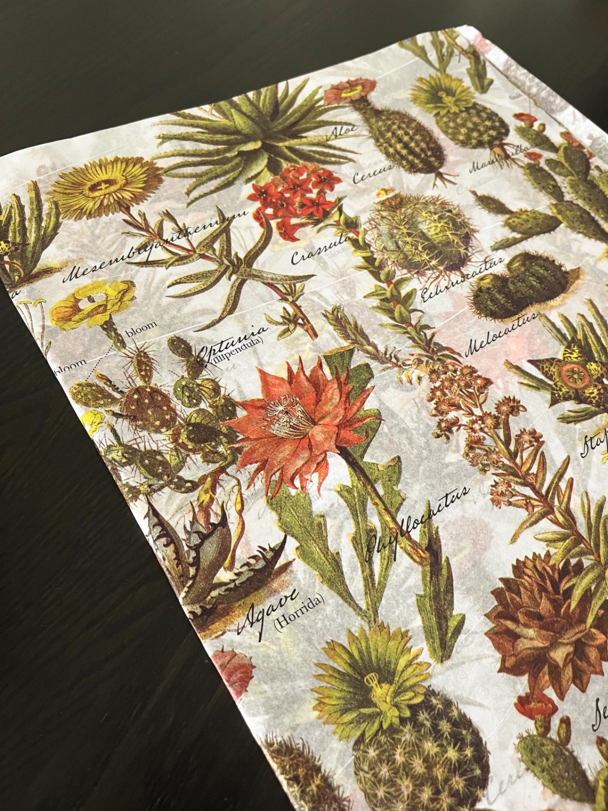 DESERT GARDEN Design Print Tissue Paper Sheets Choose Size & Package Amount gallery