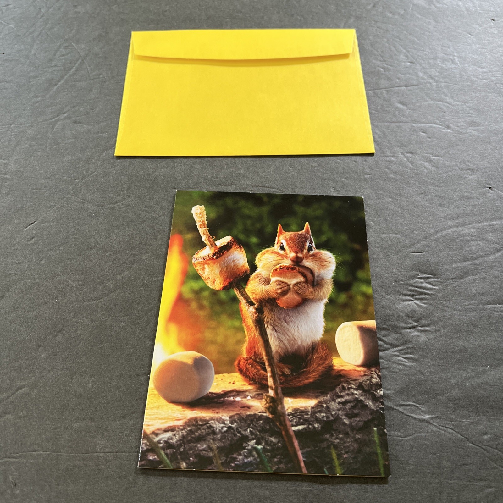 Chipmunk Roasts Marshmallow Funny Birthday Card - Greeting Card by Avanti Press gallery