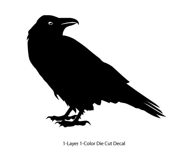 Wildlife - Birds - Staring Raven/Crow/Corvid - 6Yrs Outdoor Vinyl DieCut Sticker gallery