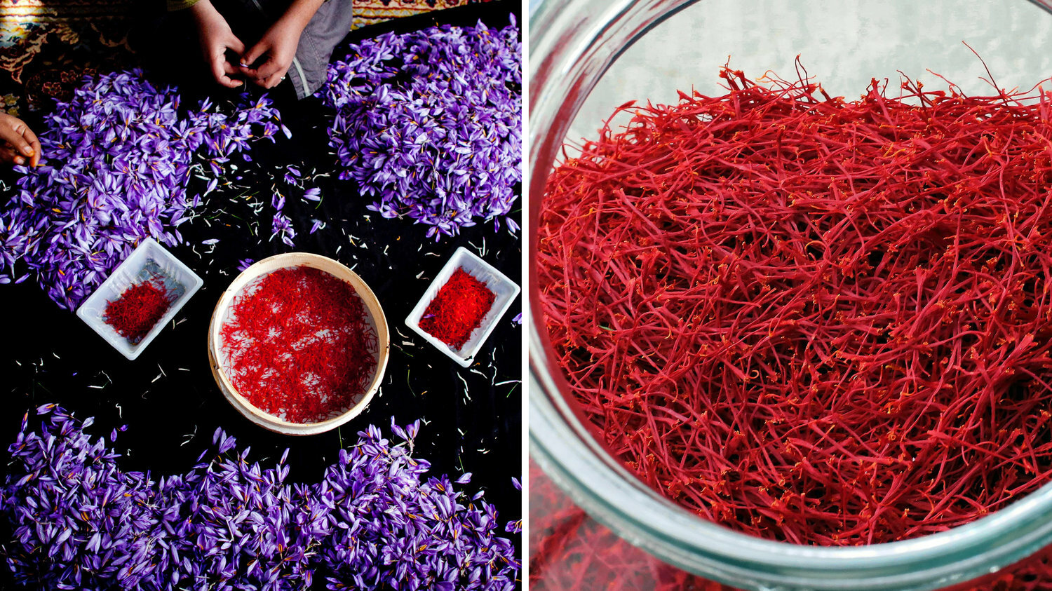 Bulk Genuine Premium Grade A+, All Red, Organically Grown Super Negin Saffron gallery