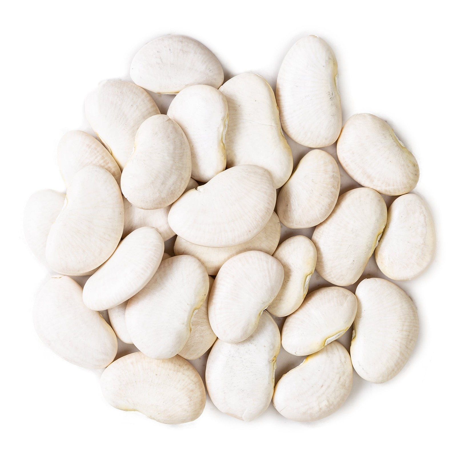 Large Lima Beans – Dry Butter Beans. Creamy Habas Grandes. Rich in Protein, Iron gallery