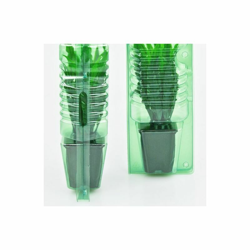 Clone Shipper - Multiple Sizes - Ship Plant Cuttings - 100Hr LEDs Optional gallery