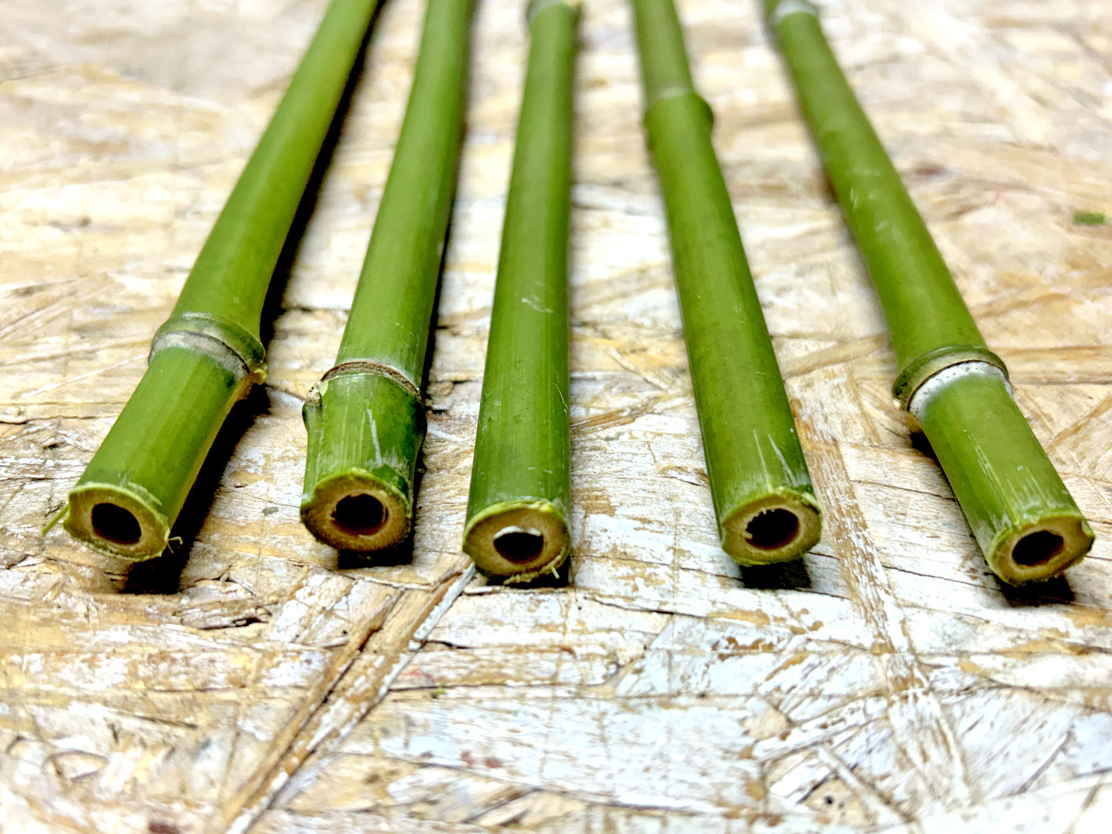 5PCS 1/2" Diameter Fresh Cut Natural Bamboo For Decor 12" gallery