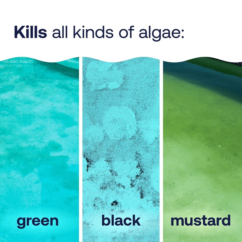 HTH 67084 Pool Care Algae Guard Advanced for Swimming Pools, All 32 fl oz 1Pack gallery