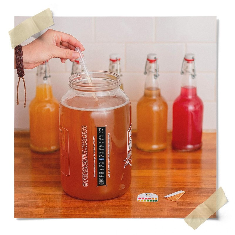 Kombucha Essentials Kit - ORGANIC SCOBY - Brew kombucha at Home gallery