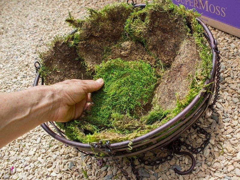 5 lbs Natural Dried Sheet Moss - Perfect for Gardens, Crafts and Centerpieces gallery