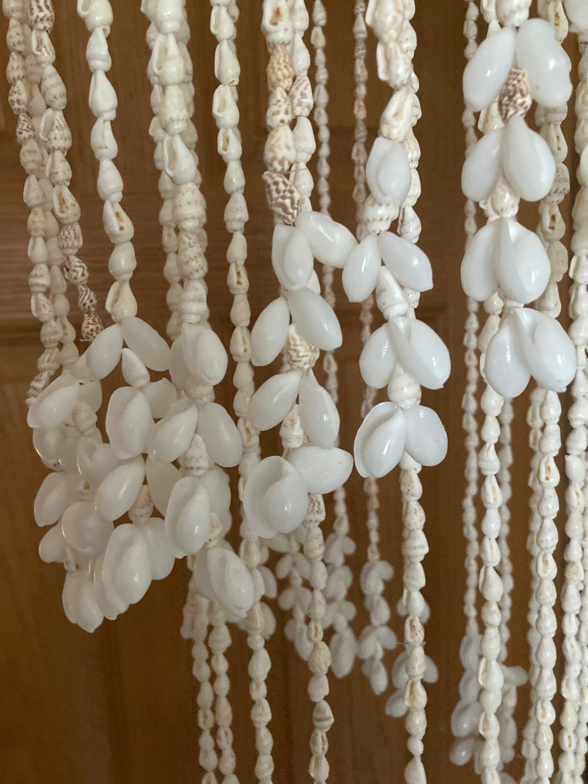 Hanging Spiral Sea Shell Windchime Indoor Outdoor gallery