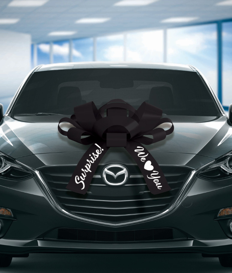 Extra Large Car Bow | Vinyl, Magnetic Back, No Scratch | Huge Car Bow | BIG BOW! gallery