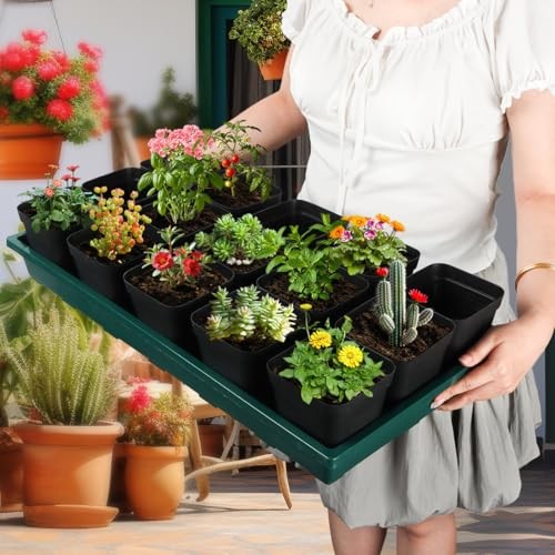 1020 Nursery Pots Trays 5 Pack, Plastic Flat Seed Starter TP1020-5P Green gallery