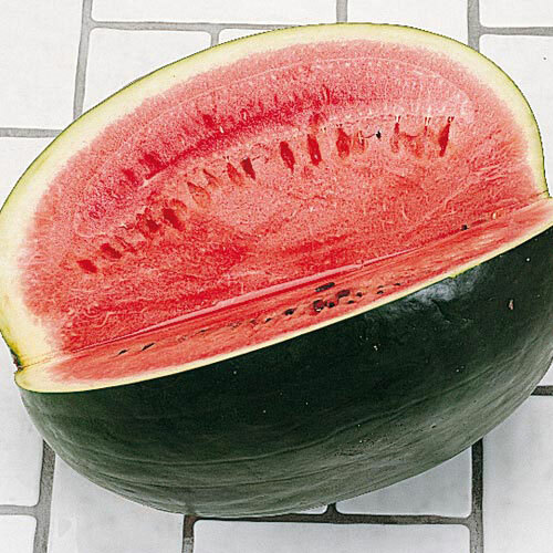 Black Diamond Watermelon Seeds | Heirloom - Non-GMO | Free Shipping | 1039 gallery