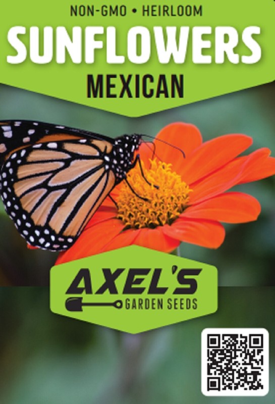 Sunflower Seeds - Large Orange Blooms, Drought-Tolerant, Mexican Torch Variety gallery