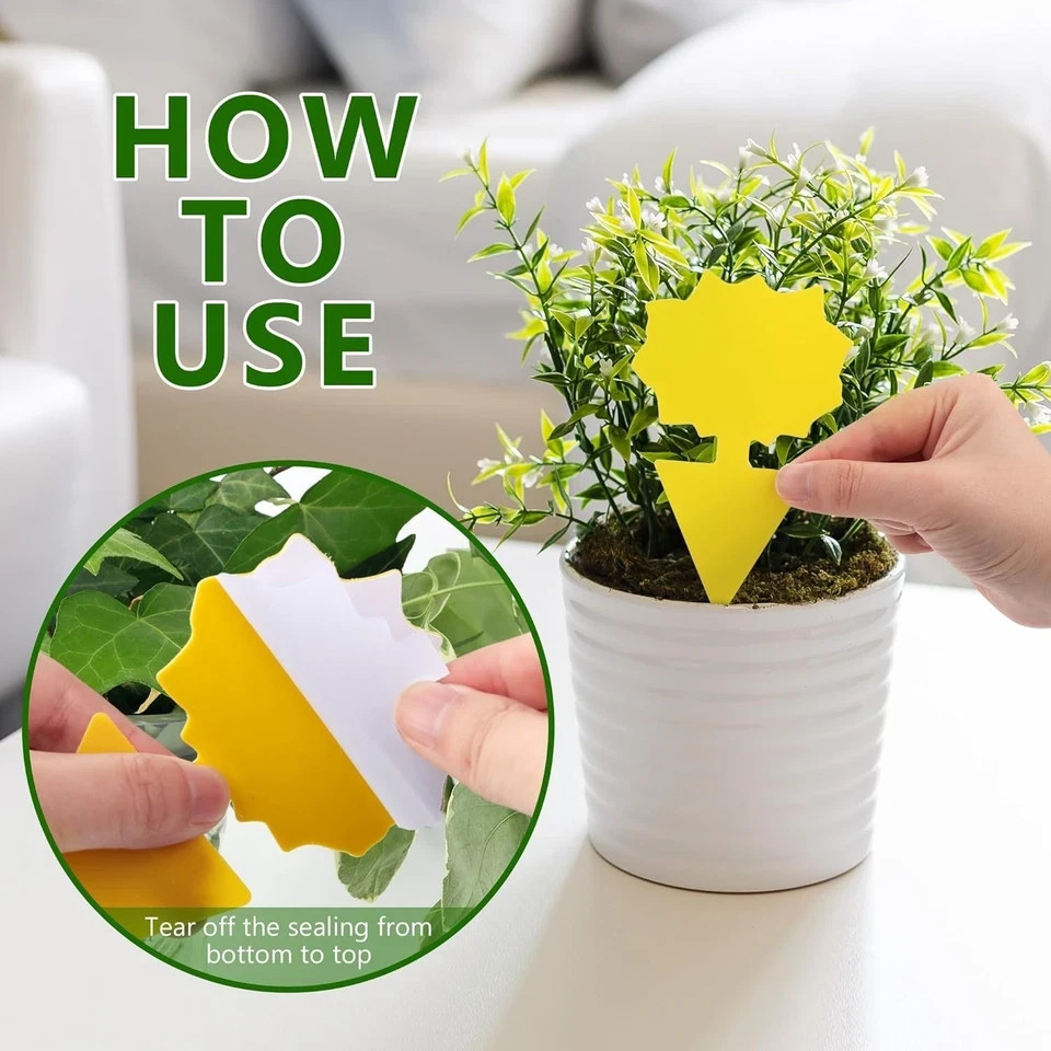 48PCS Sticky Fruit Fly Traps, Fungus Gnat Killer Trap use Indoor Outdoor gallery