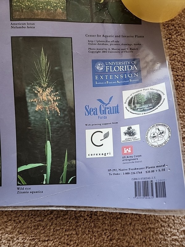 Native Freshwater Plants Large 23" X 62" Mural Poster 2001 University Of Florida gallery
