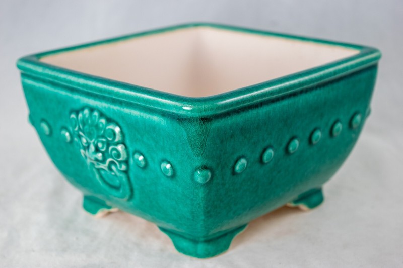 Fine Square Green Cactus & Succulent, Bonsai Pot + Mesh - 6.25"x 6.25"x 3.75" gallery
